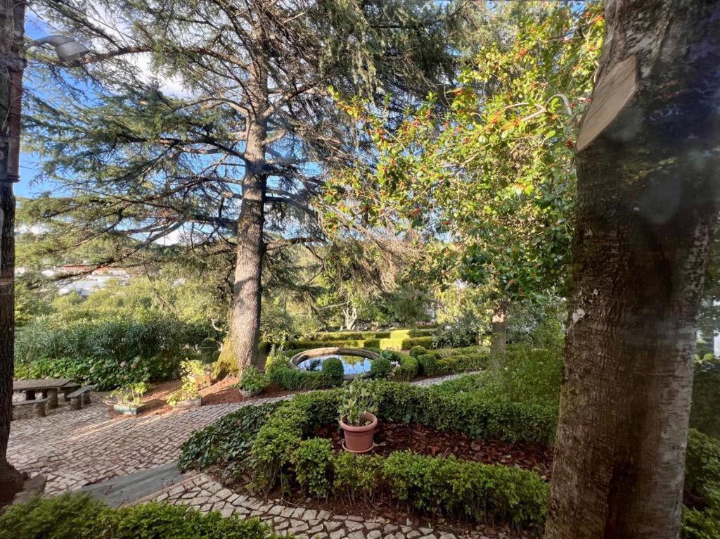 Casa Fundeira - Quinta Dos Esconhais Castanheira de Pera Dış mekan fotoğraf
